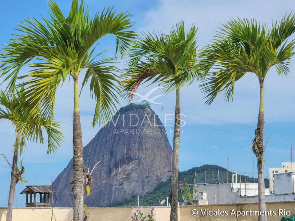 Penthouse in Rio de Janeiro, State of Rio de Janeiro, Brazil 2 - 14244693