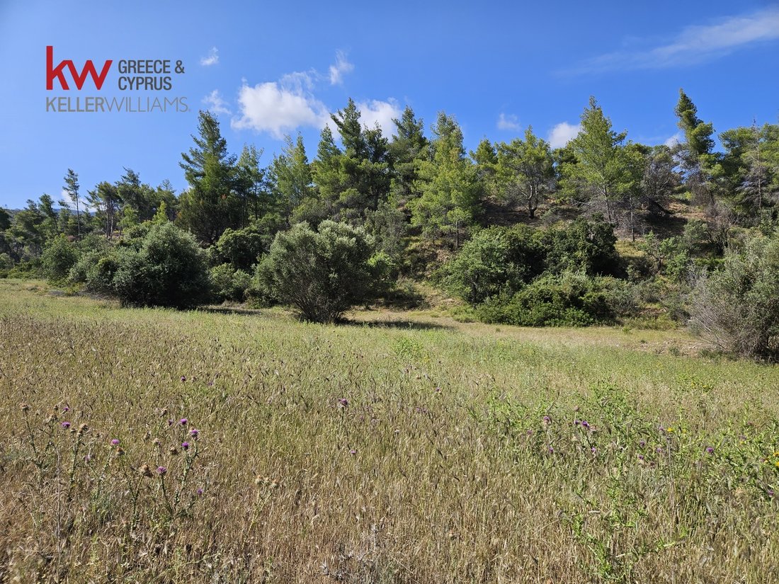 Land in Megara, Attica, Greece 3 - 14232198
