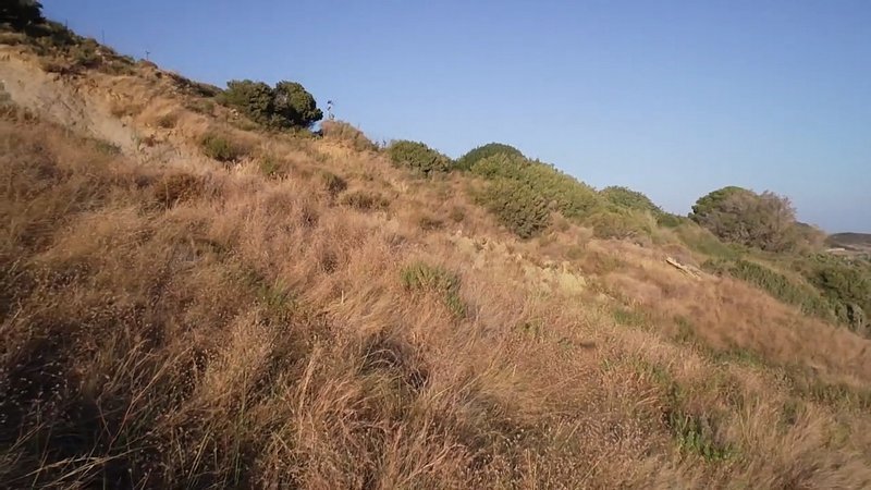 Terreno a Elios-Proni, Peloponnese, Western Greece and the Ionian, Grecia 1 - 14251816
