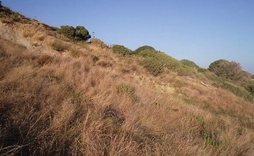 Land in Elios-Proni, Peloponnese, Western Greece and the Ionian, Greece 1