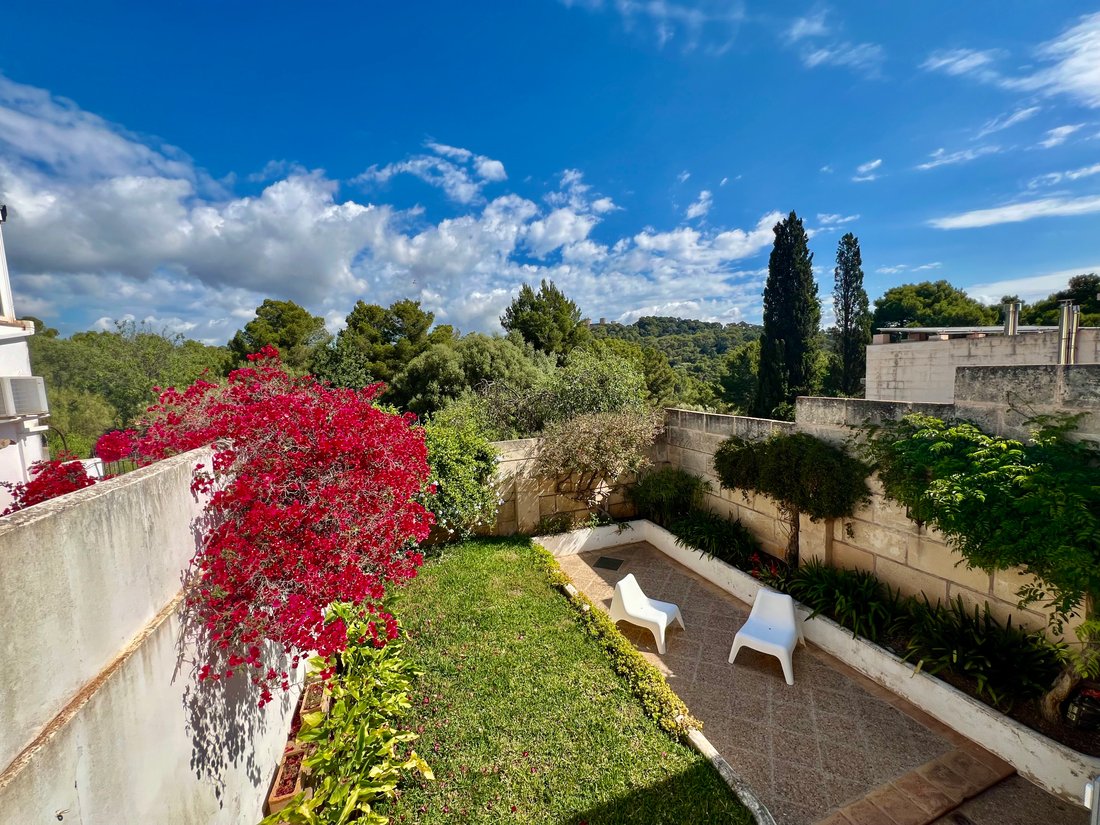 House in Palma, Balearic Islands, Spain 3 - 14252324