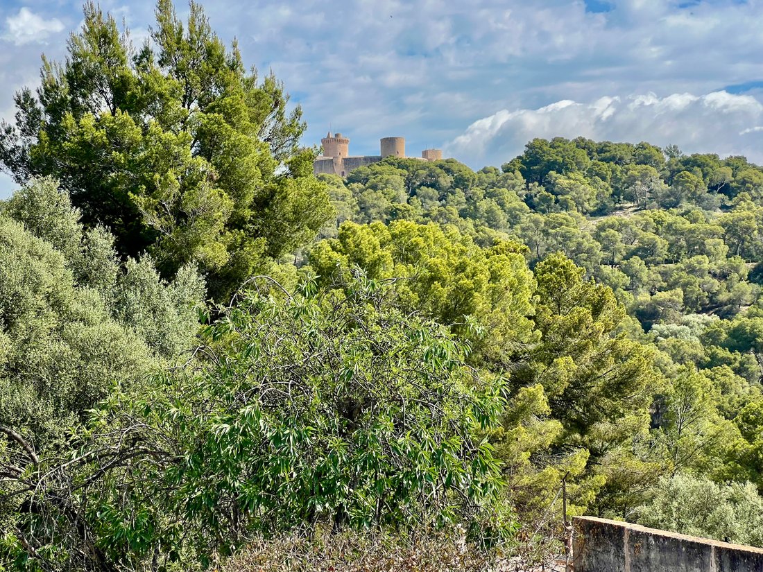 House in Palma, Balearic Islands, Spain 2 - 14252324