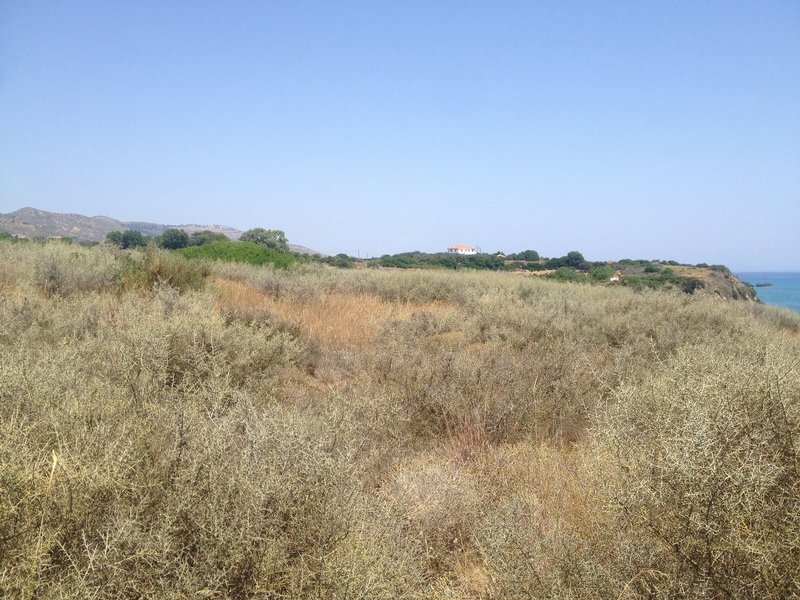 Land in Elios-Proni, Peloponnese, Western Greece and the Ionian, Greece 3 - 14251781