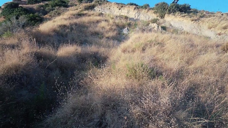 Terreno a Elios-Proni, Peloponnese, Western Greece and the Ionian, Grecia 3 - 14251816