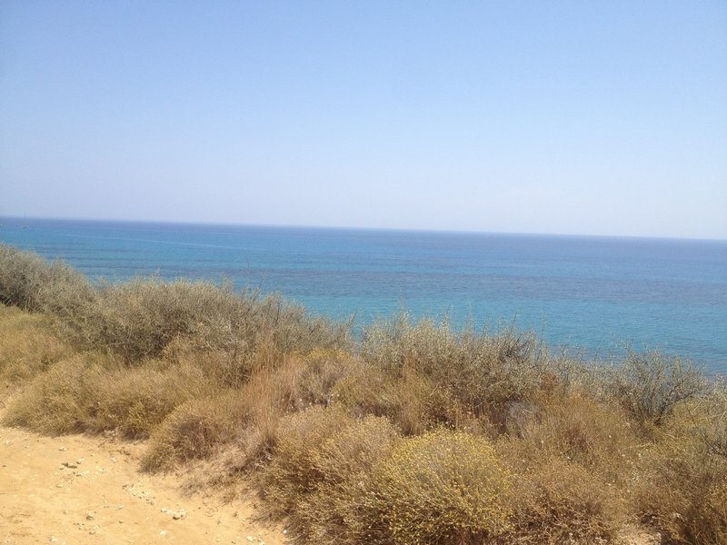 Land in Elios-Proni, Peloponnese, Western Greece and the Ionian, Greece 2 - 14251781