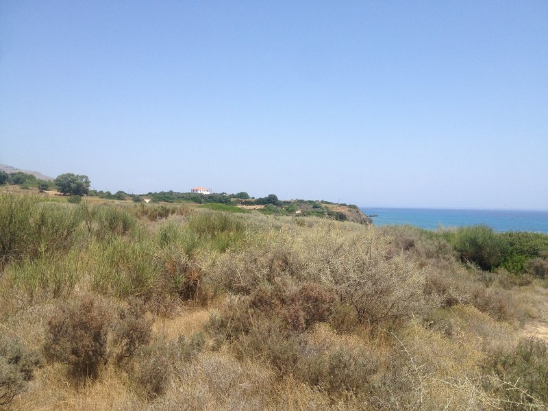 Land in Elios-Proni, Peloponnese, Western Greece and the Ionian, Greece 5 - 14251781
