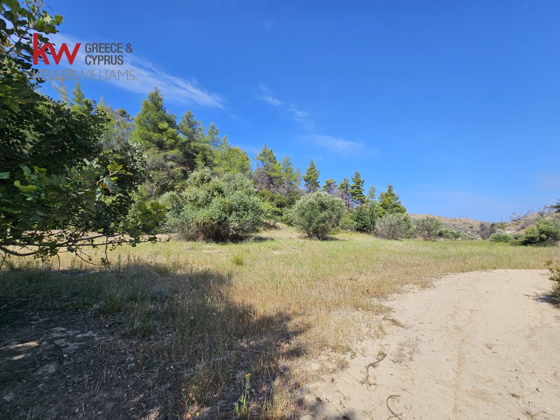 Land in Megara, Attica, Greece 5 - 14232198