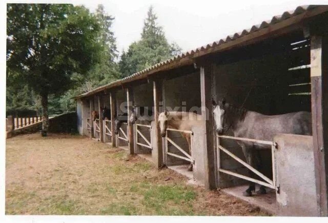 House in Le Soulie, Occitania, France 4 - 14252479