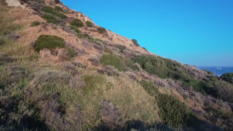 Terreno a Elios-Proni, Peloponnese, Western Greece and the Ionian, Grecia 5 - 14251816