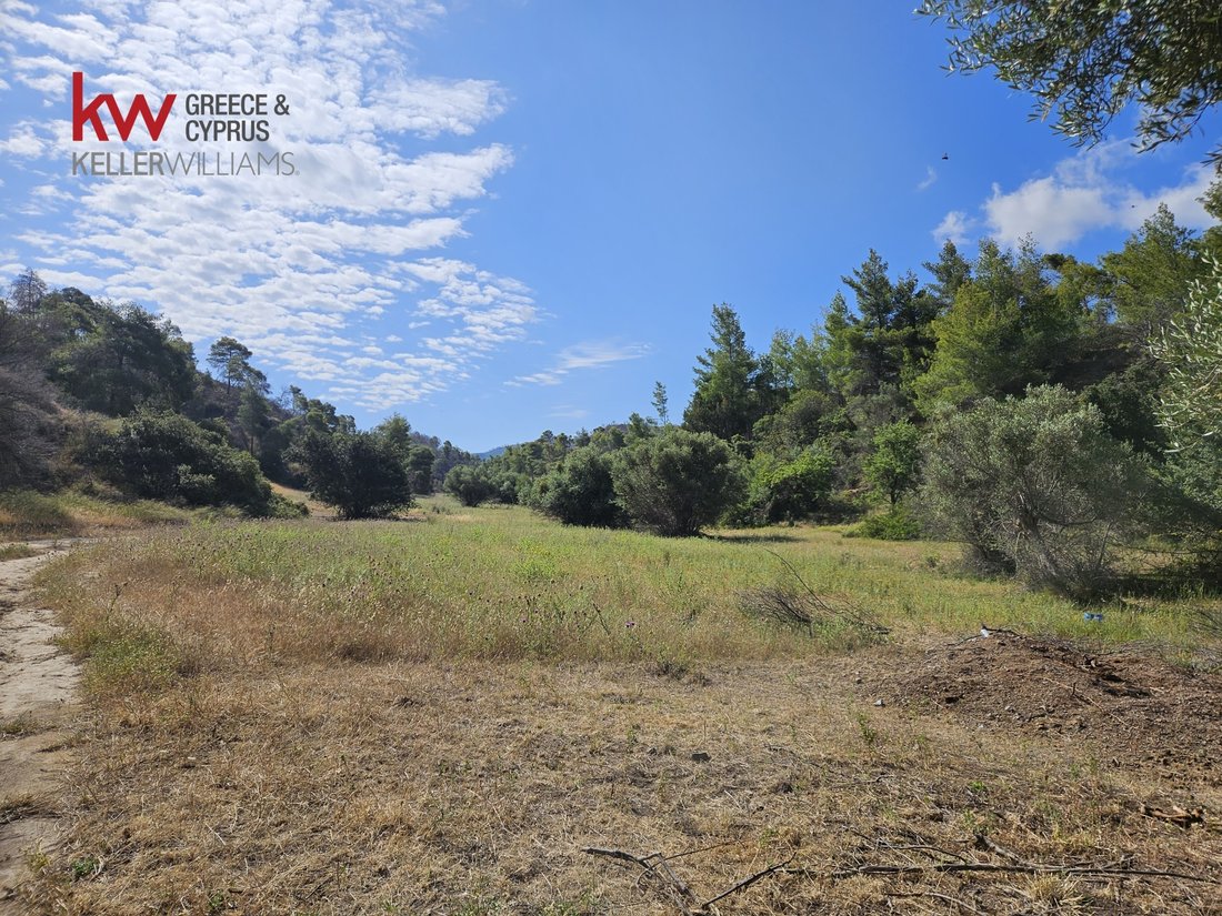 Land in Megara, Attica, Greece 4 - 14232198