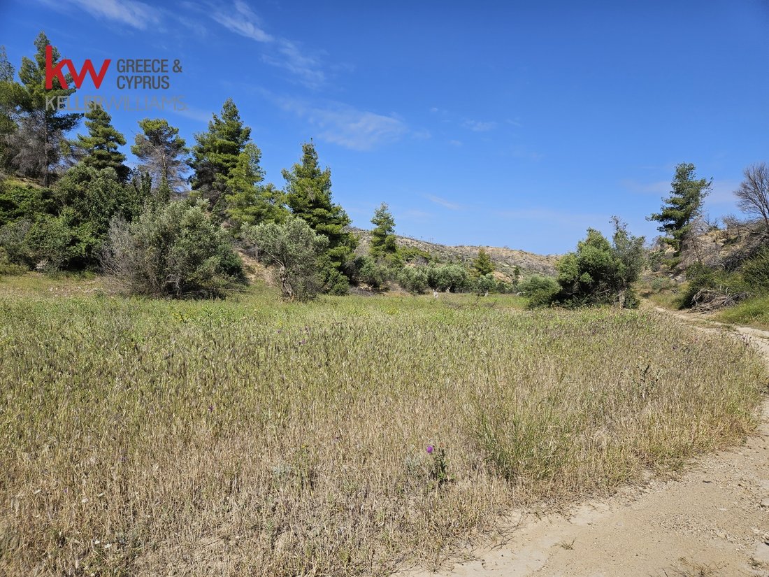 Land in Megara, Attica, Greece 2 - 14232198