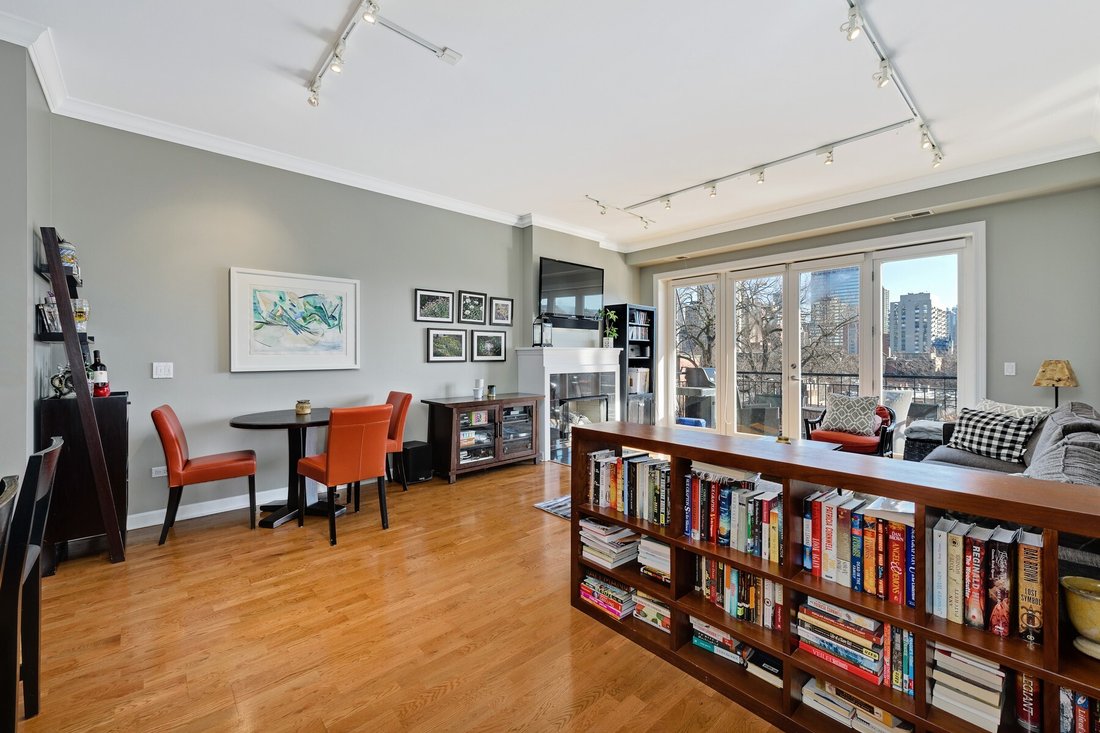Condo in Chicago, Illinois, United States 4 - 14255635