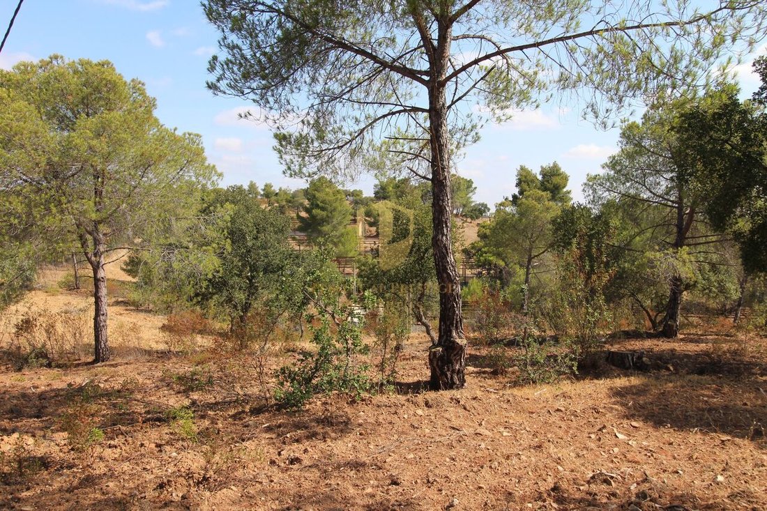 Estate in Azinhal, Algarve, Portugal 5 - 14258637