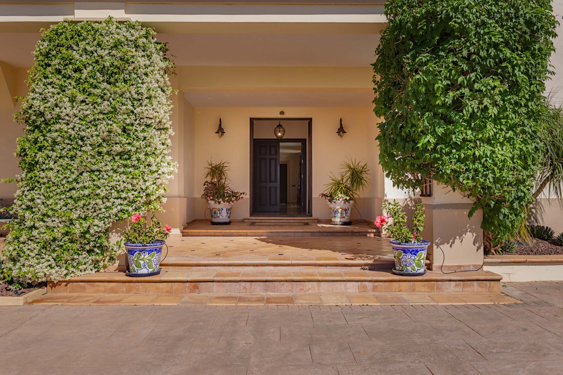 Estate in Estepona, Andalusia, Spain 5 - 14257972