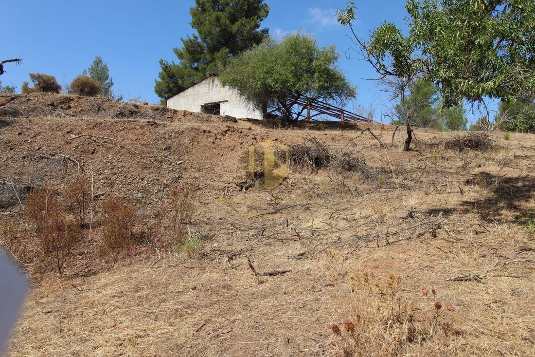 Farm Ranch in Azinhal, Algarve, Portugal 1 - 14258625