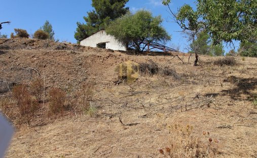 Farm Ranch in Azinhal, Algarve, Portugal 1