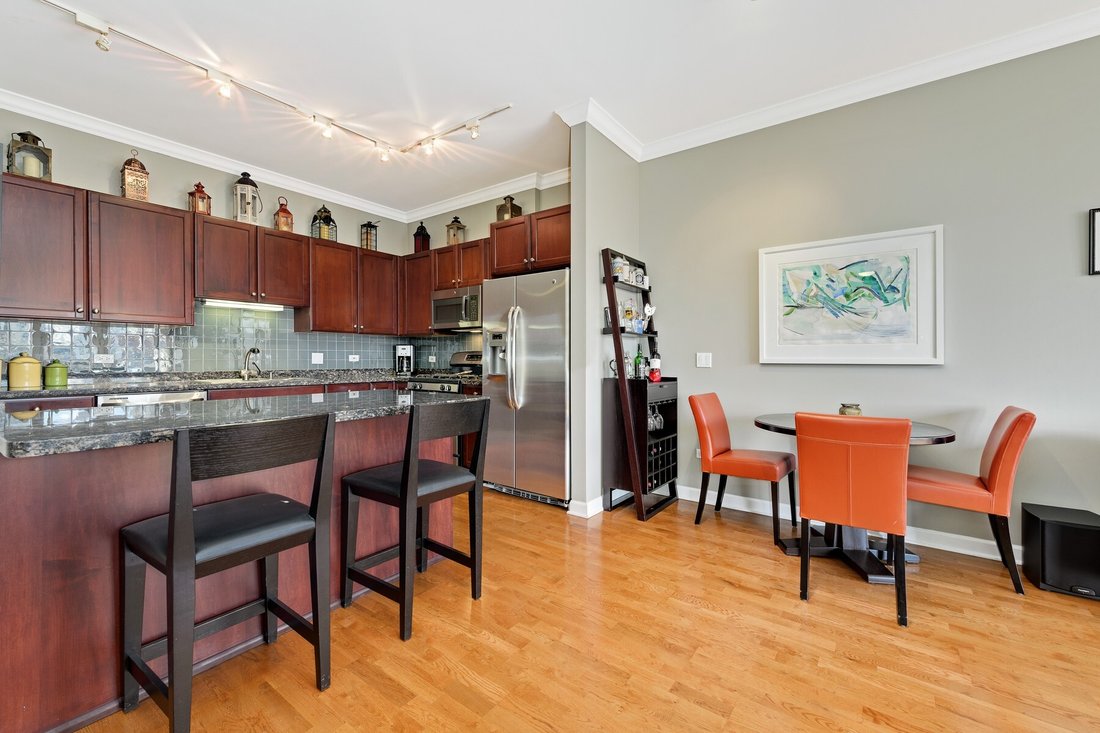Condo in Chicago, Illinois, United States 5 - 14255635