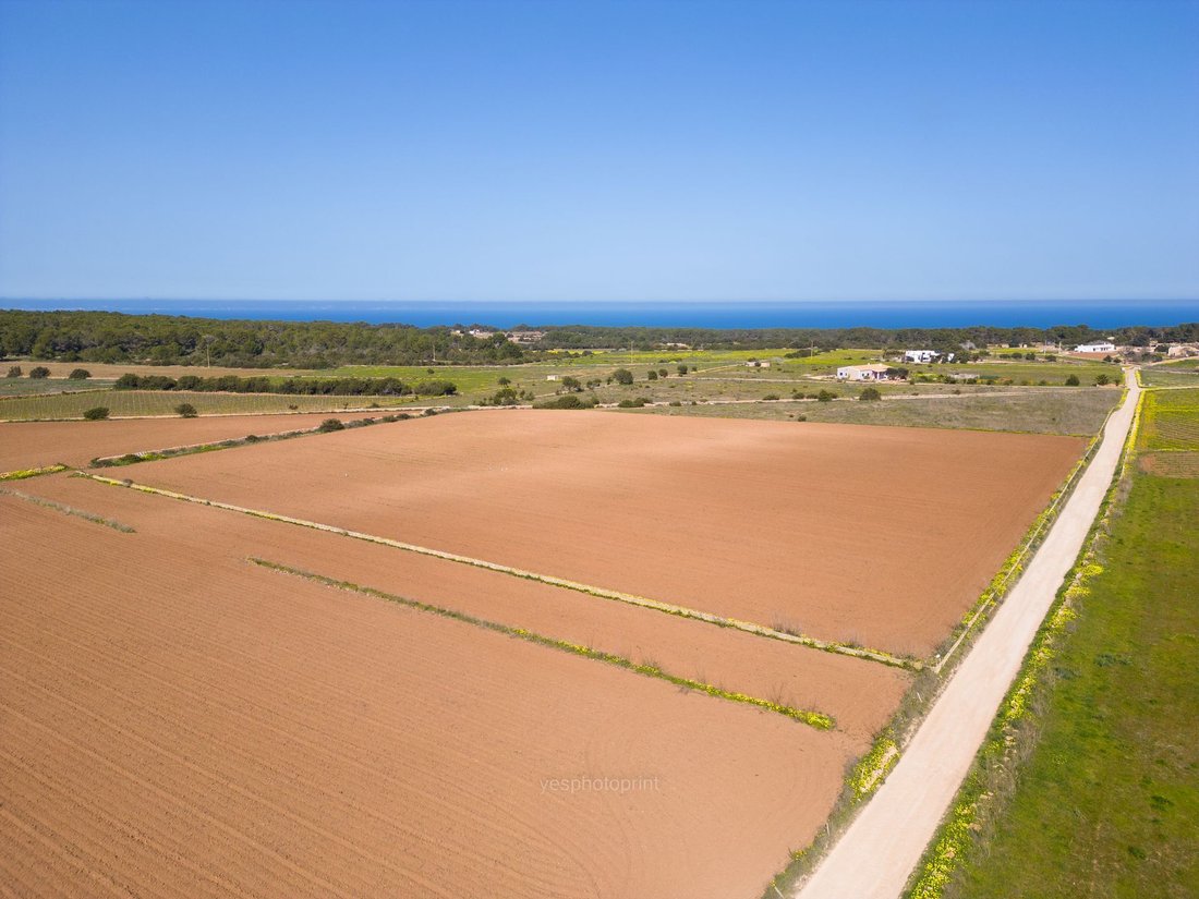 Land in Formentera, Balearic Islands, Spain 1 - 14255778