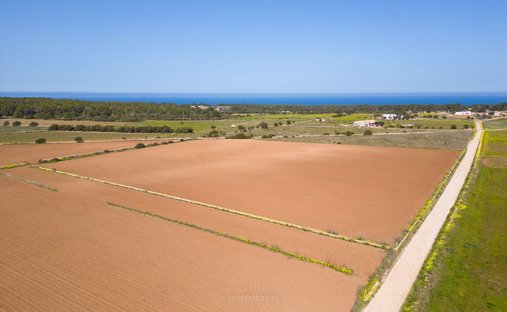 Land in Formentera, Balearic Islands, Spain 1