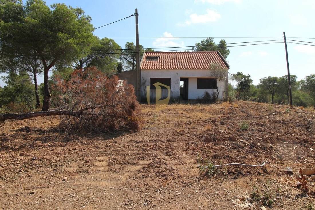 Farm Ranch in Azinhal, Algarve, Portugal 3 - 14258625