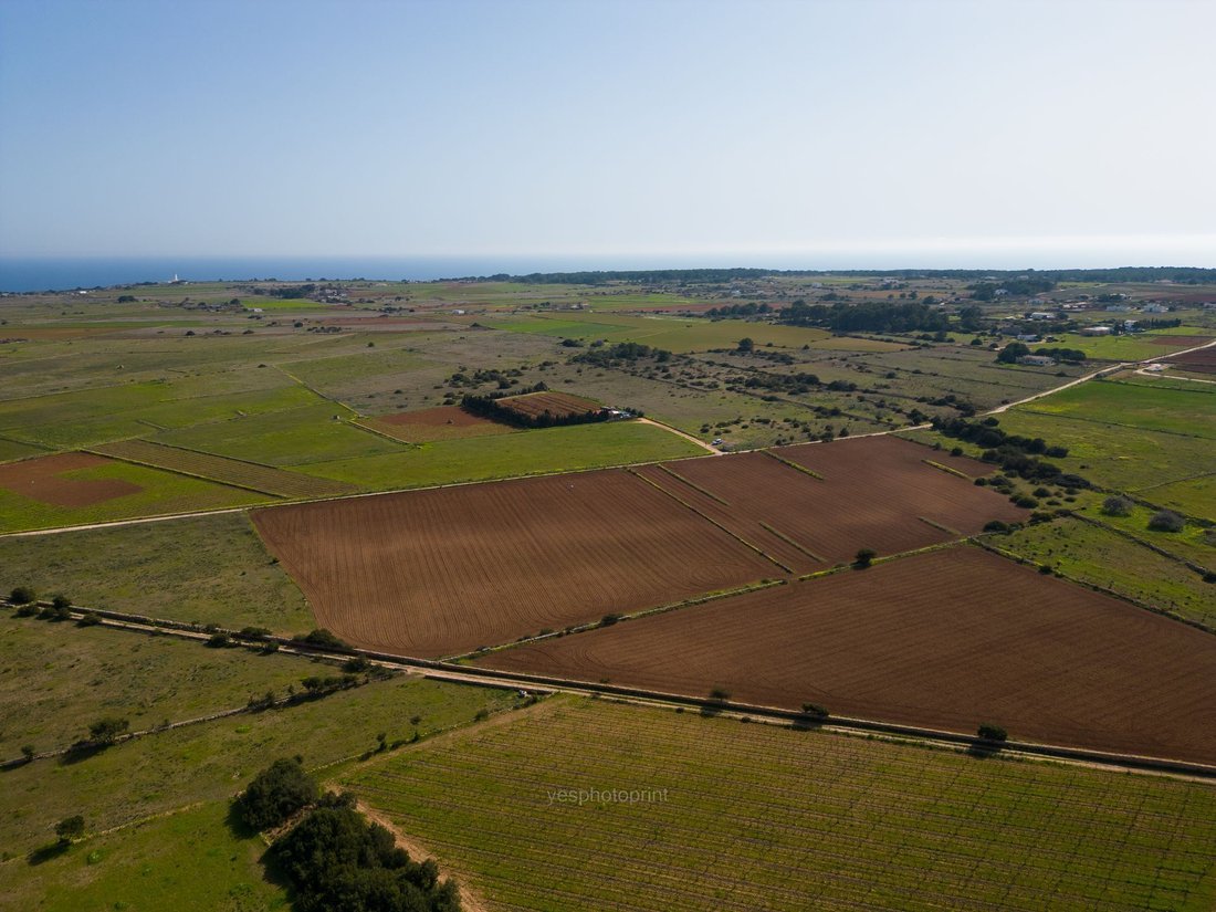Land in Formentera, Balearic Islands, Spain 4 - 14255778