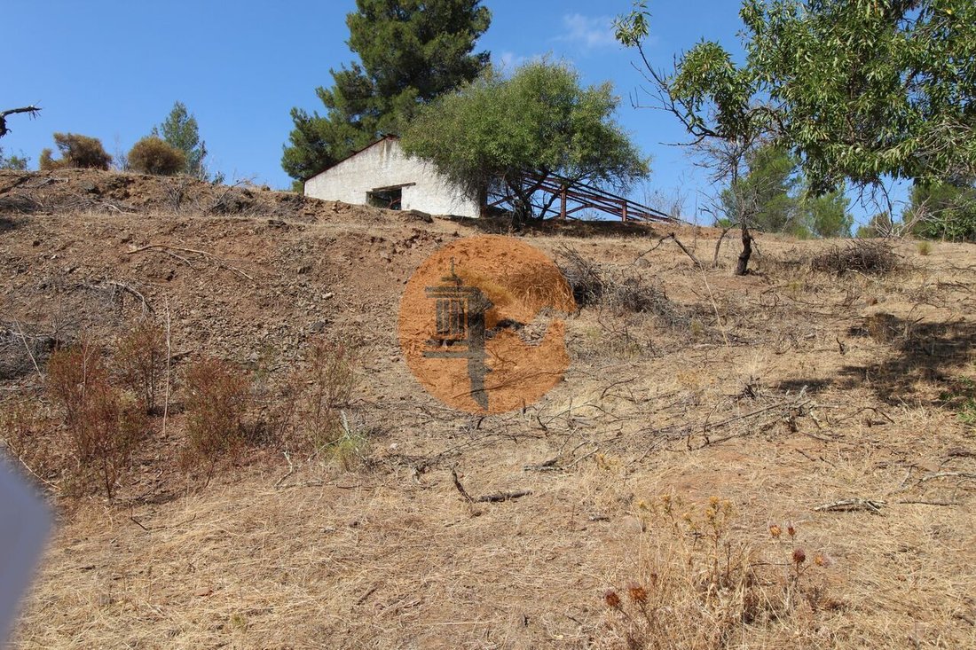 Farm Ranch in Azinhal, Algarve, Portugal 1 - 14258614