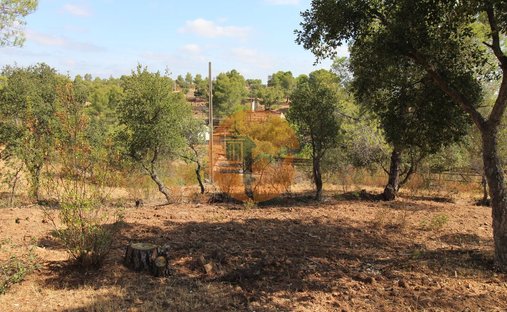 Estate in Azinhal, Algarve, Portugal 1