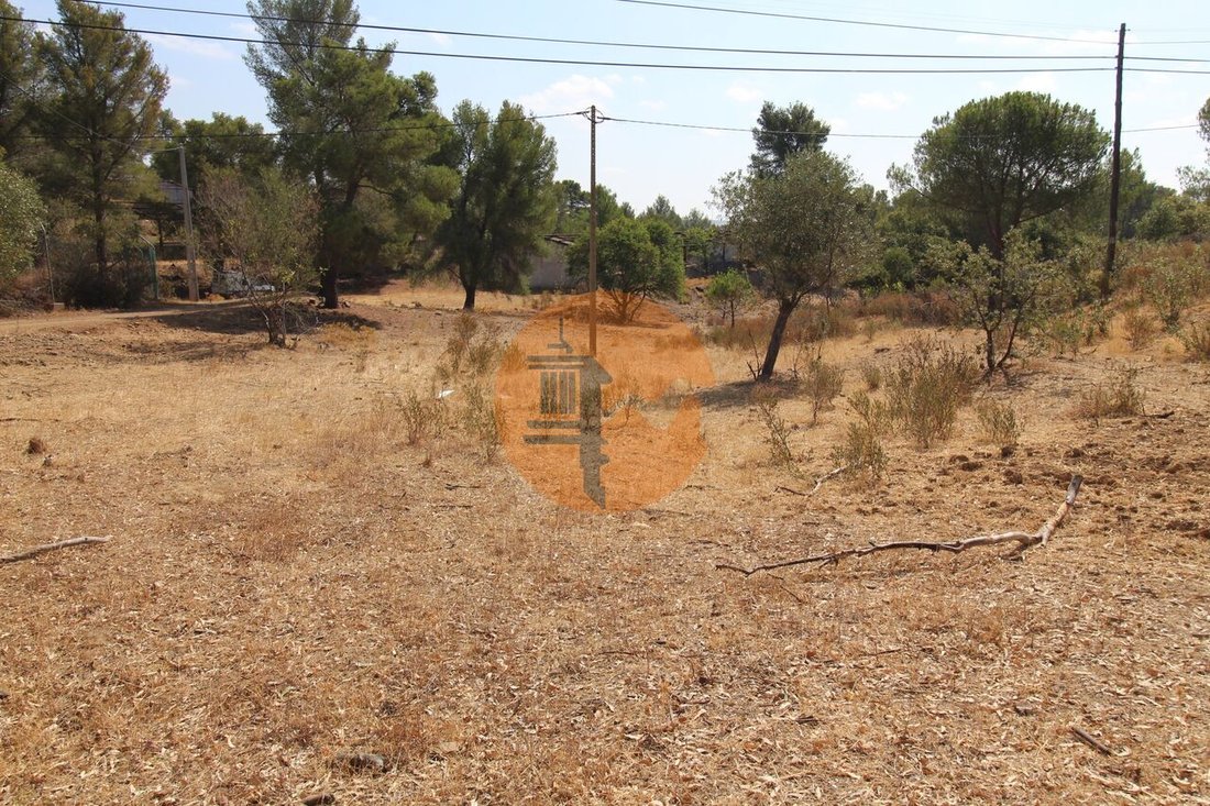 Farm Ranch in Azinhal, Algarve, Portugal 4 - 14258614
