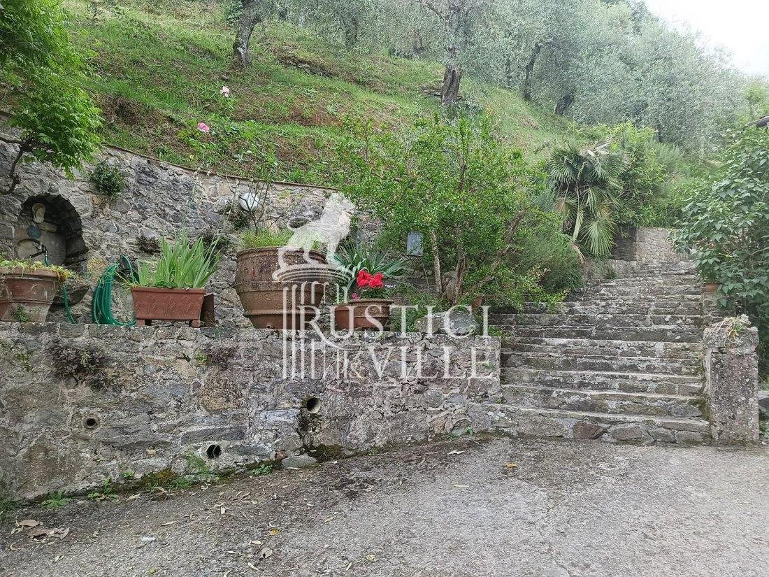 Azienda agricola a Capannori, Toscana, Italia 3 - 14012610