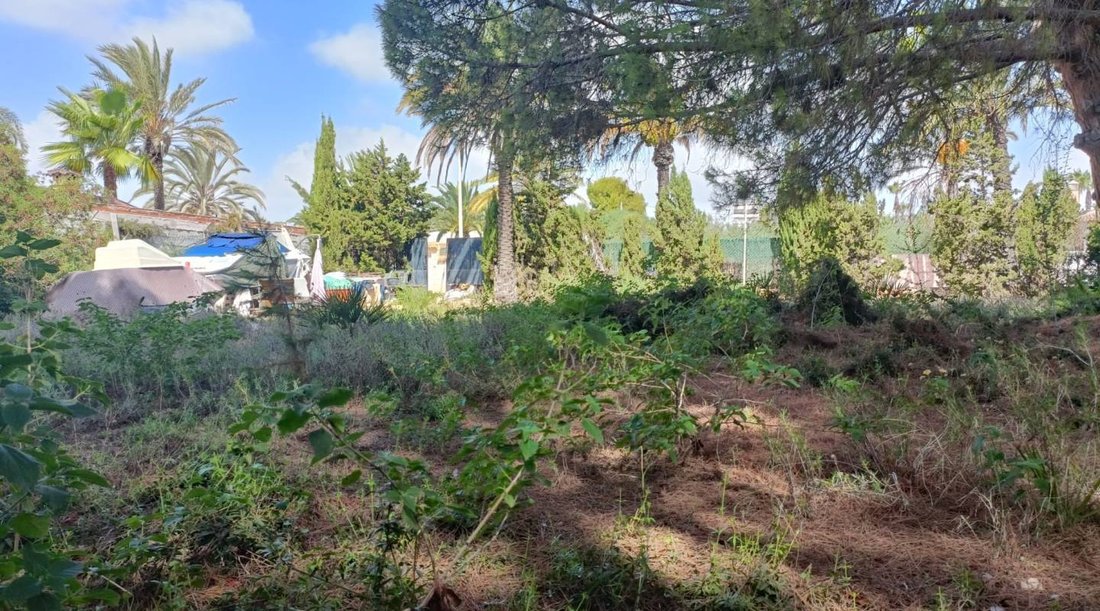 Cabo Roig, Orihuela, Valencian Community 3 - 14265239