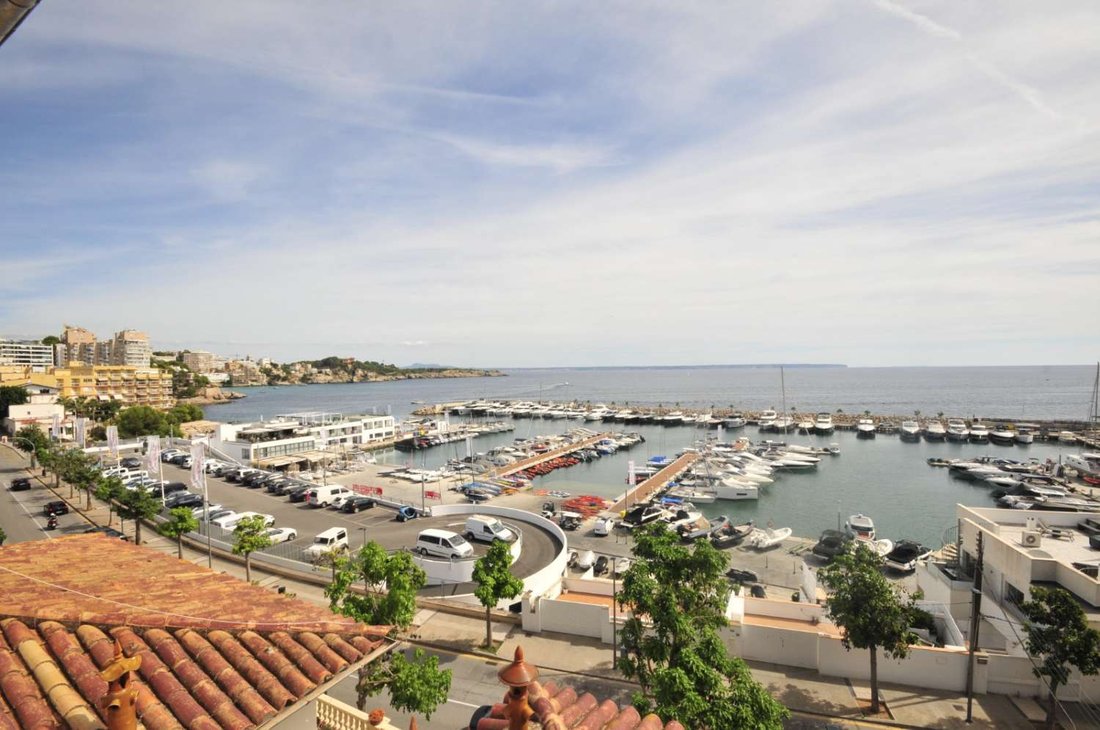 Altro a Palma di Maiorca, Isole Baleari, Spagna 3 - 14269111