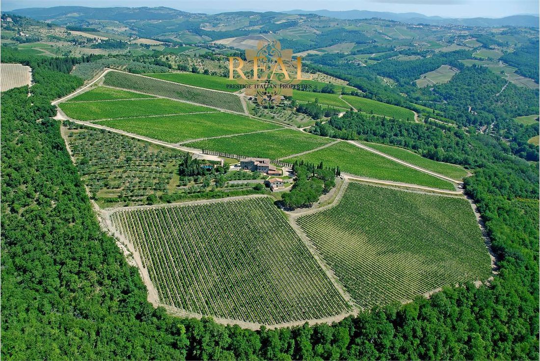 Estate in Castellina in Chianti, Tuscany, Italy 1 - 14272476