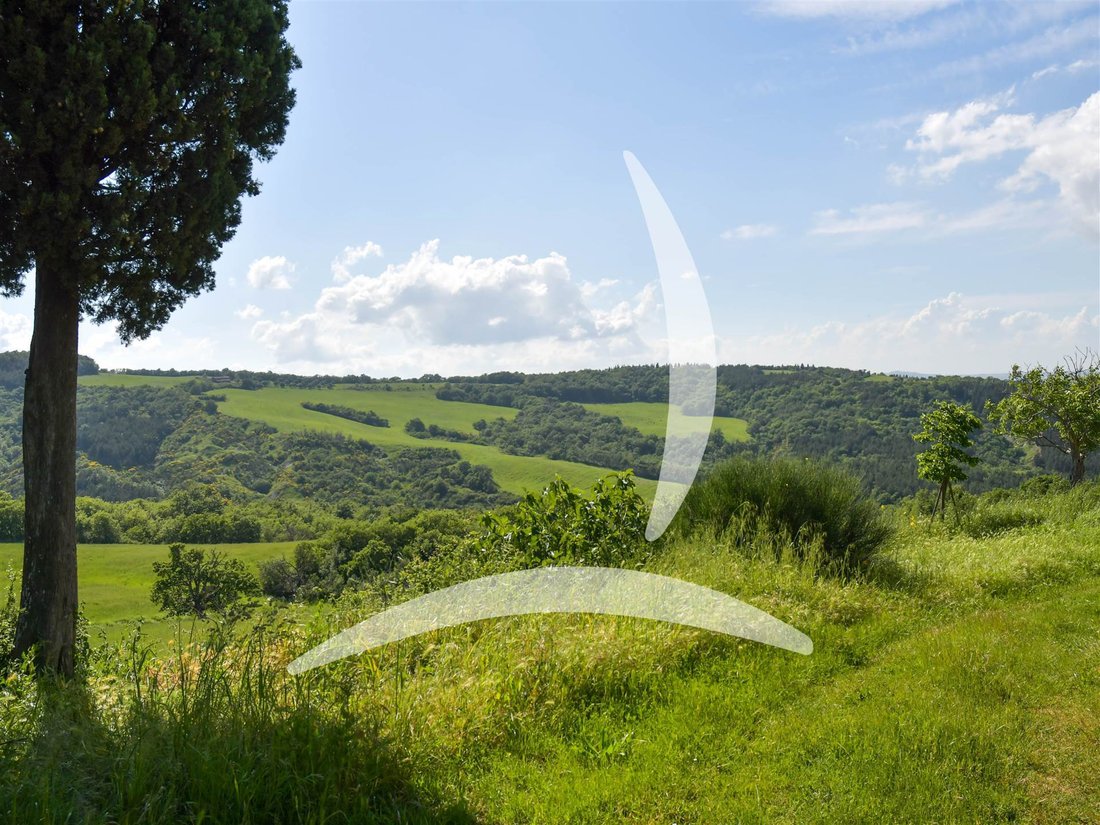 Farm Ranch in Contignano, Tuscany, Italy 5 - 14269766
