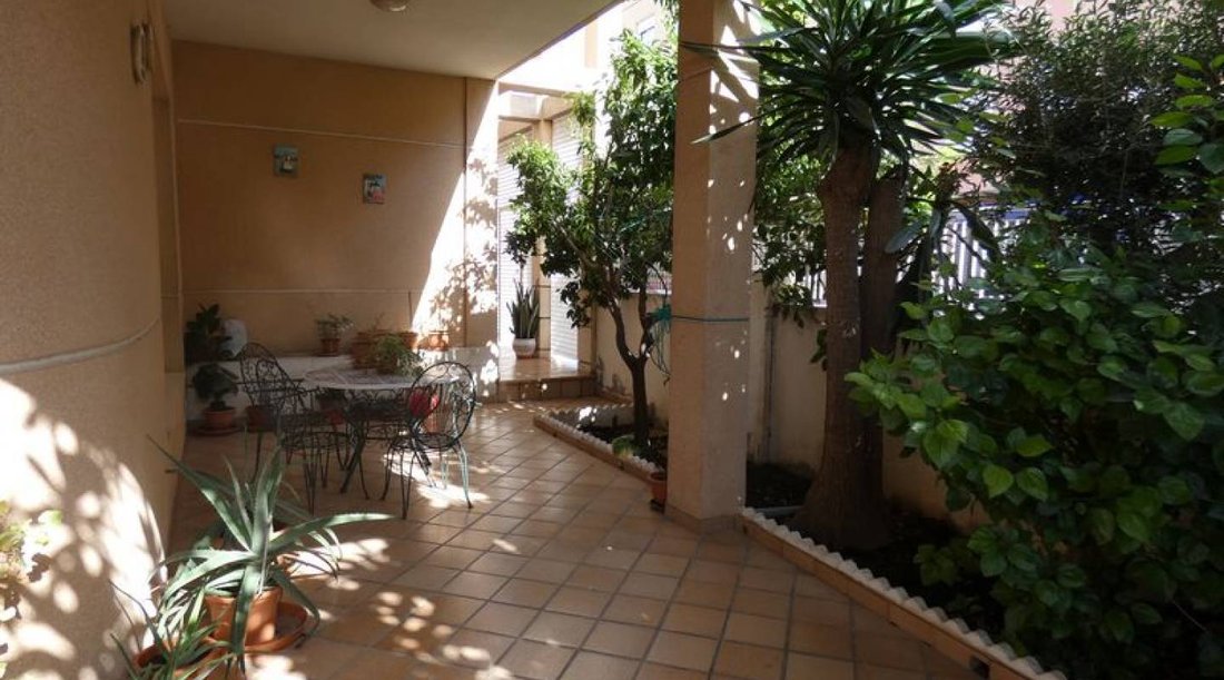Villa in Almoradi, Valencian Community, Spain 3 - 14265218