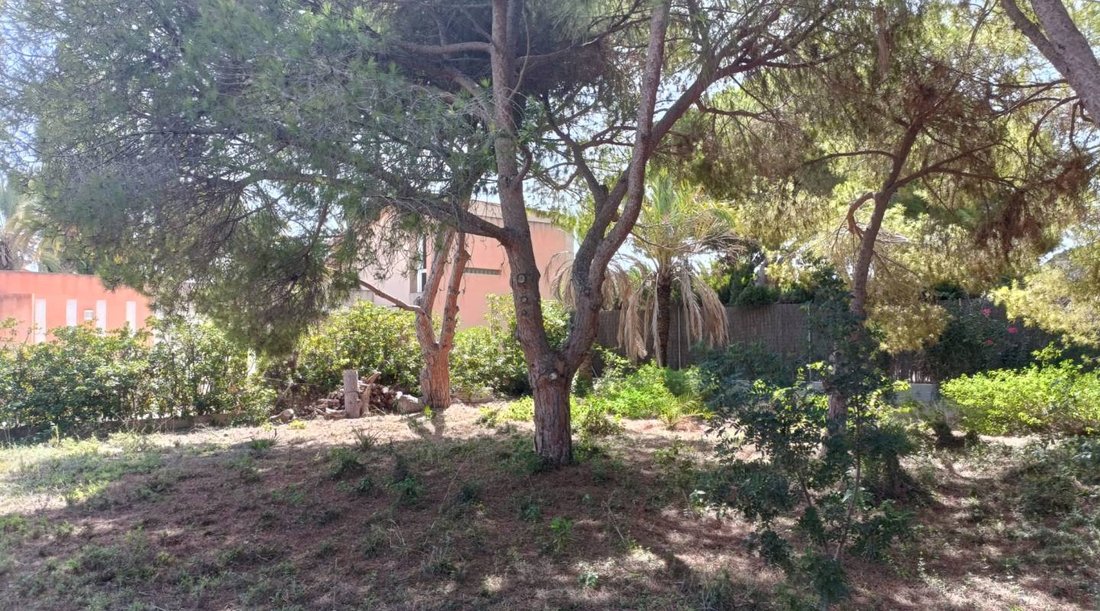 Cabo Roig, Orihuela, Valencian Community 5 - 14265239