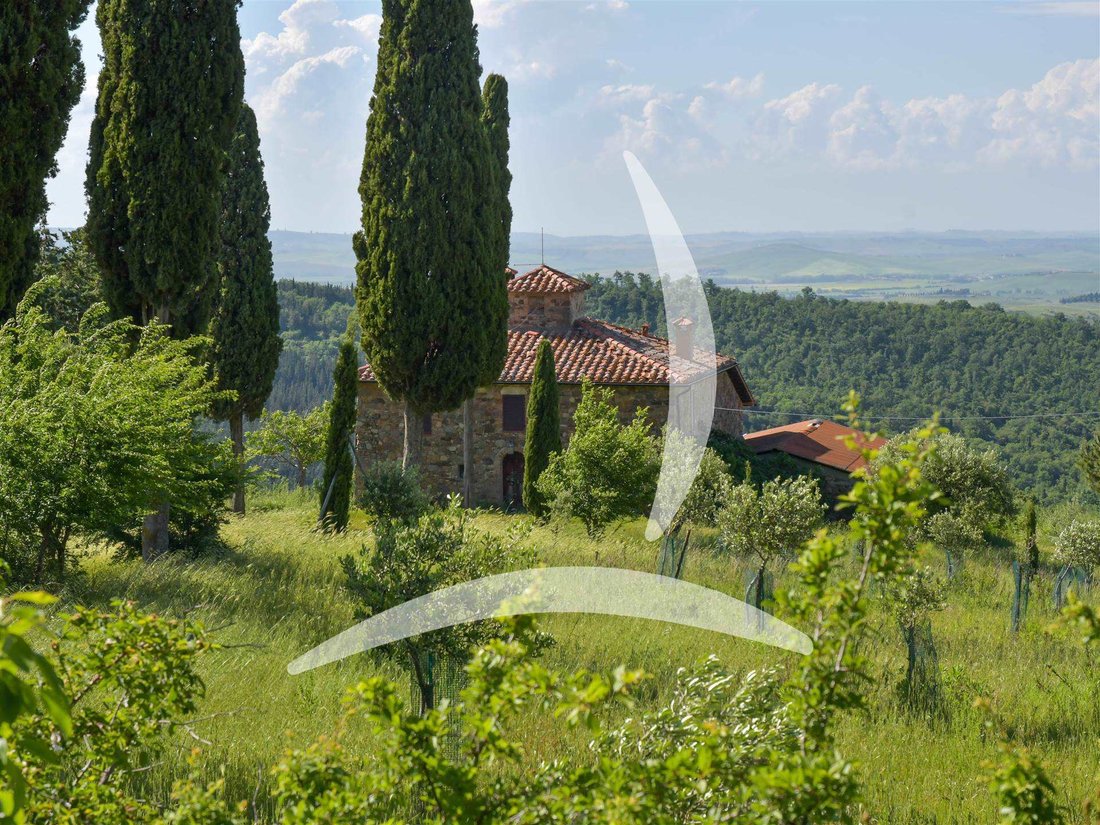 Farm Ranch in Contignano, Tuscany, Italy 2 - 14269766