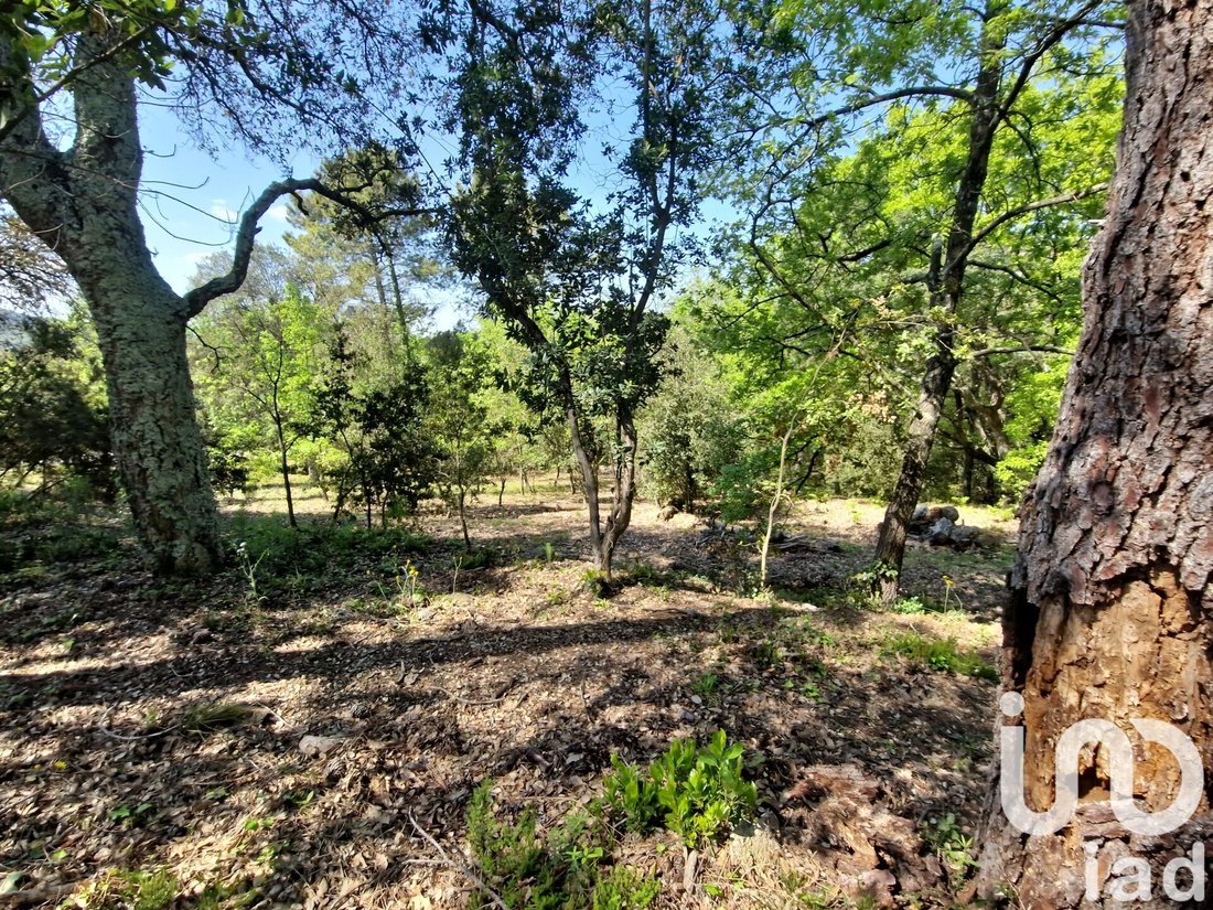 Venta De Terreno En Les Adrets De L'estérel, Provenza Alpes Costa Azul ...