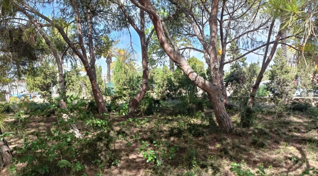Cabo Roig, Orihuela, Valencian Community 4 - 14265239