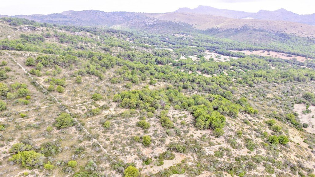 House in Arta, Balearic Islands, Spain 1 - 14278372