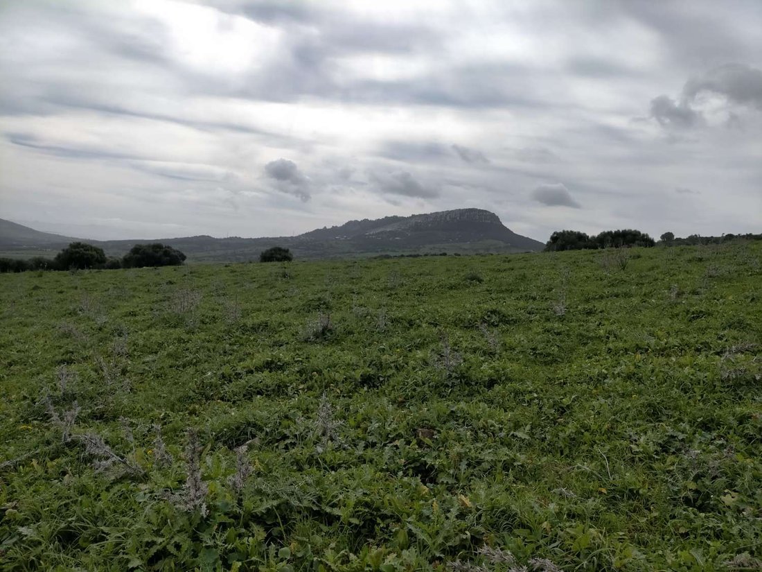 Finca in Tarifa, Andalusia, Spain 5 - 14277625