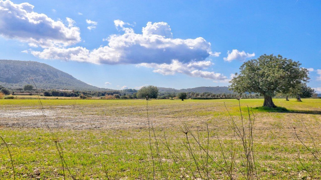 Pollenca, Balearic Islands, Spain 5 - 14278405