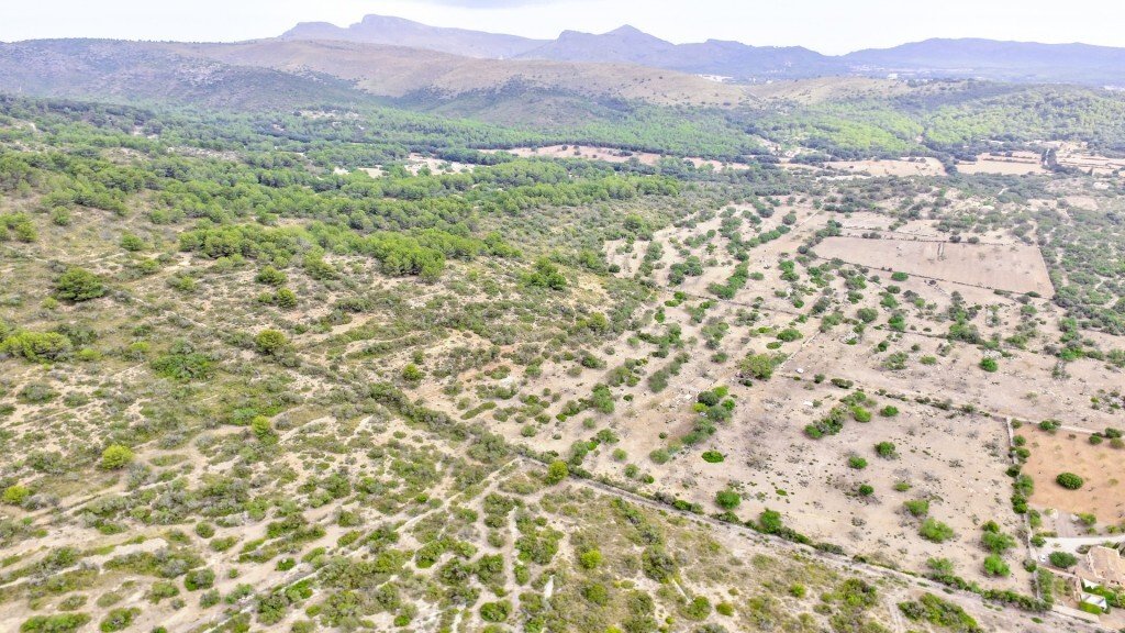 House in Arta, Balearic Islands, Spain 5 - 14278372