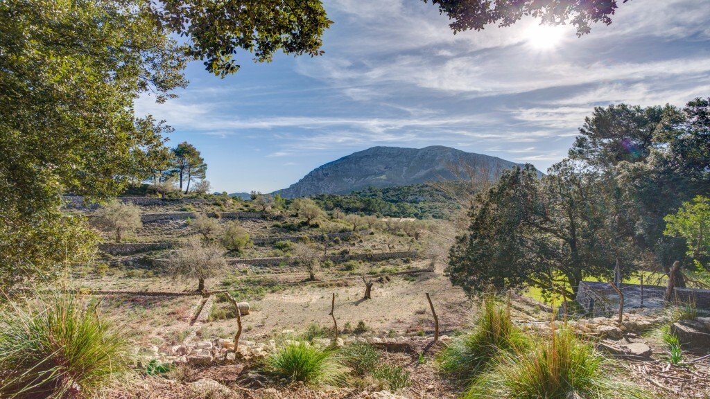 Casa a Escorca, Isole Baleari, Spagna 4 - 14278319
