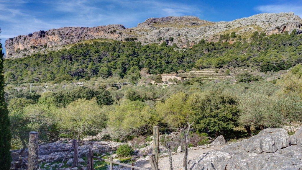 Casa a Escorca, Isole Baleari, Spagna 5 - 14278319