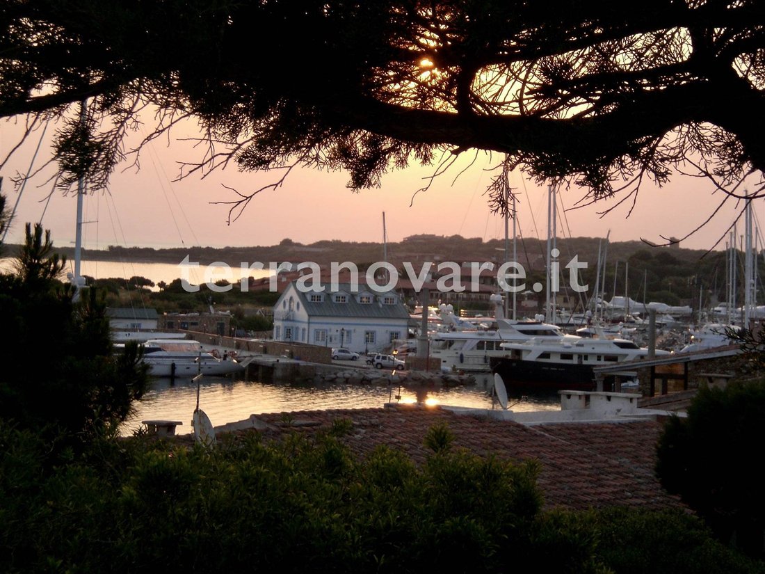 Apartment in Porto Rotondo, Olbia, Sardinia 5 - 14275077
