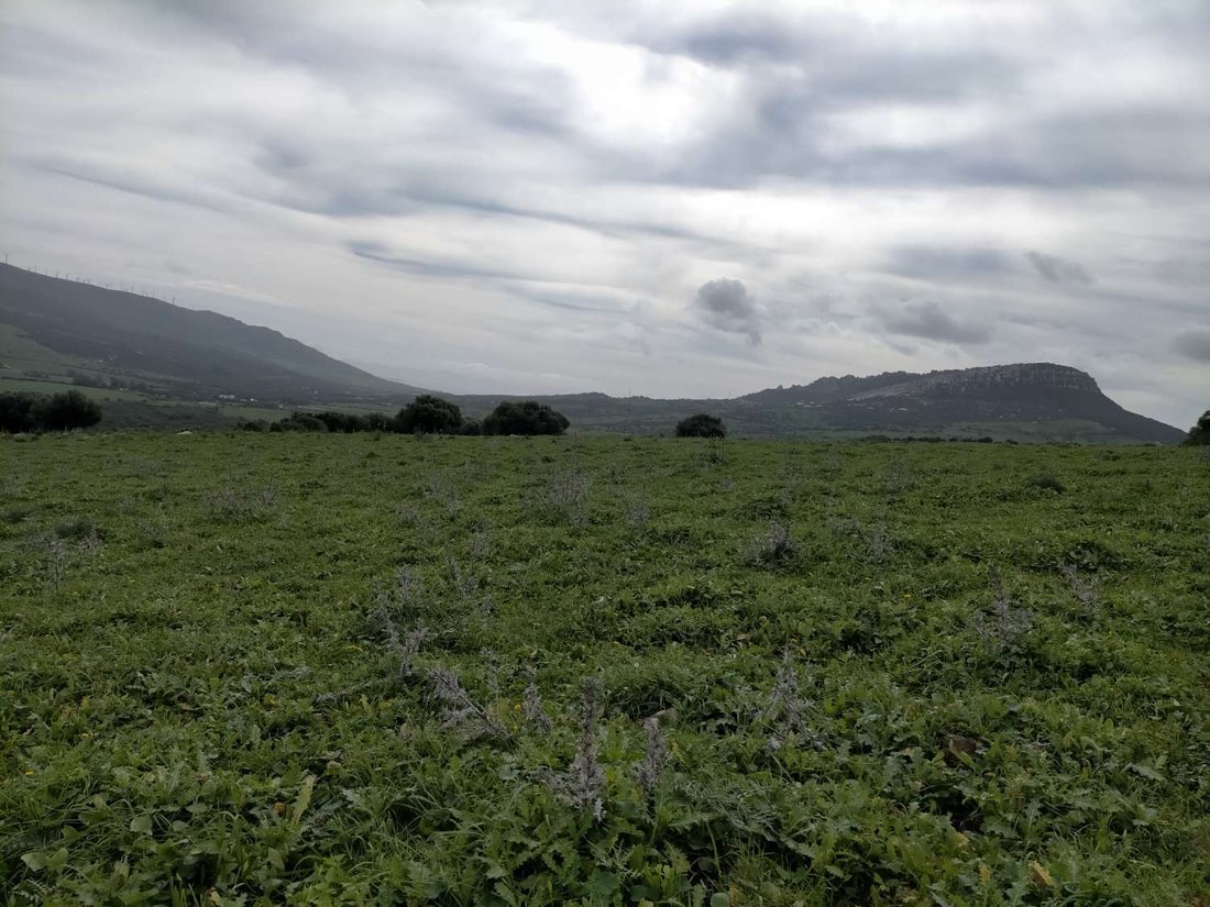 Finca in Tarifa, Andalusia, Spain 4 - 14277625