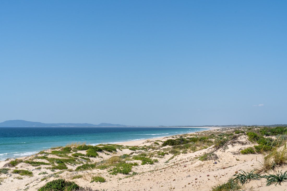 Land in Carvalhal, Setubal, Portugal 1 - 14275280