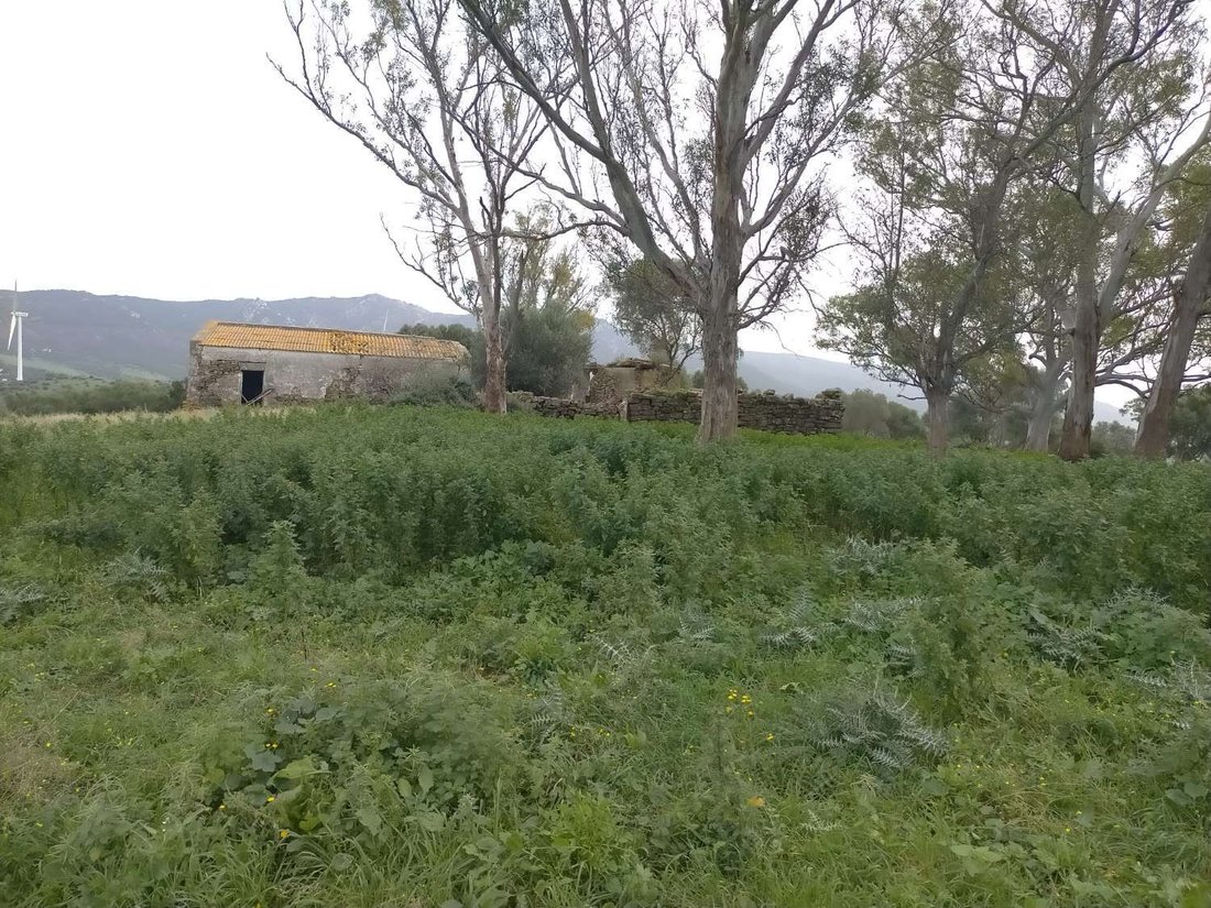 Finca in Tarifa, Andalusia, Spain 1 - 14277625
