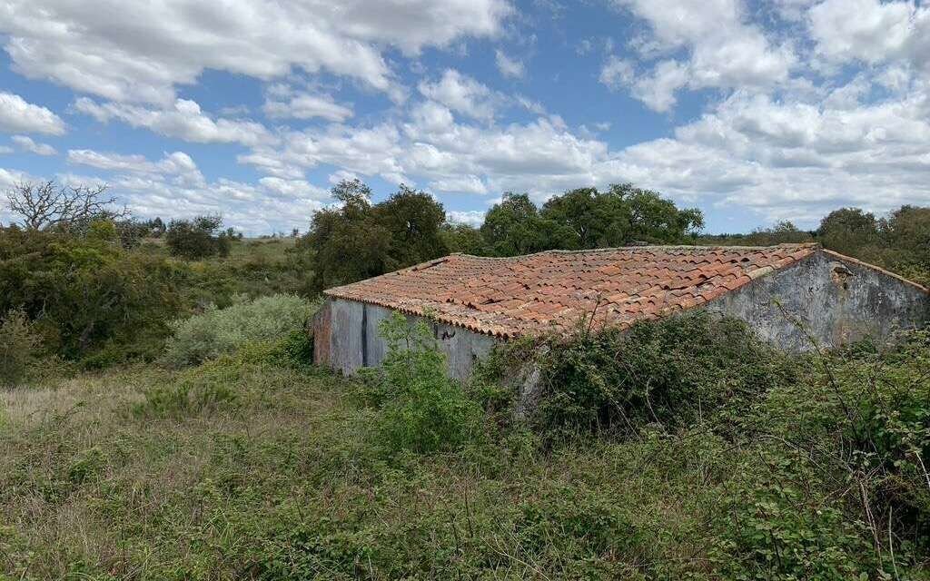 Land in S.Teotónio, Beja District, Portugal 5 - 12858324
