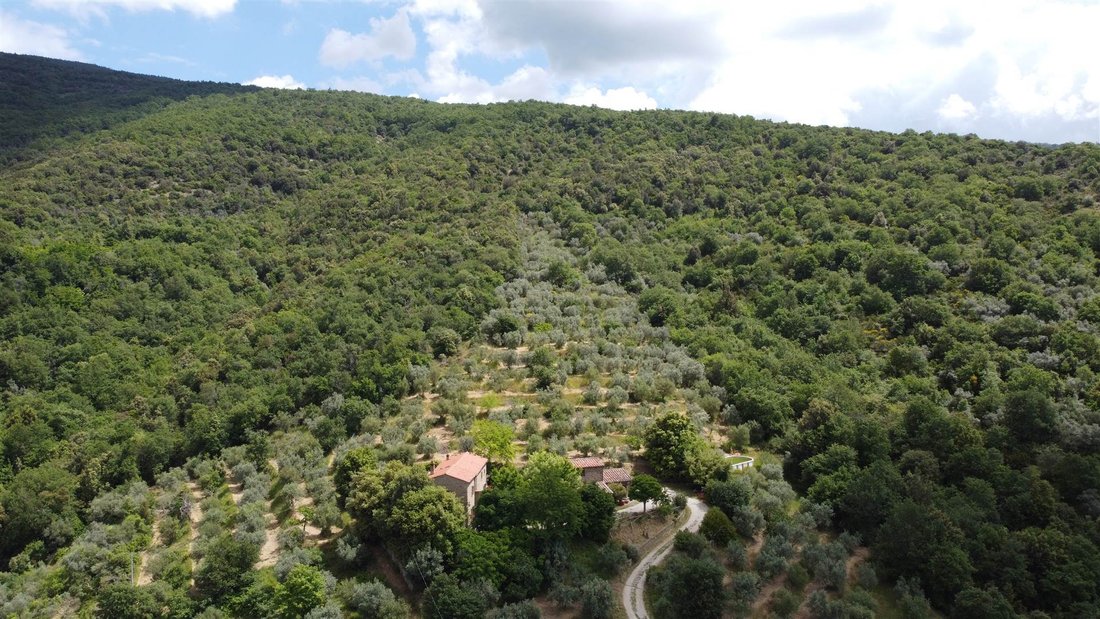 Cegliolo - Torreone - Portole, Cortona, Tuscany 5 - 13846659